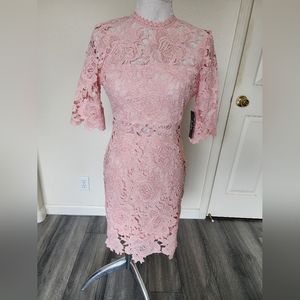 Lulus Pink Lace Sheath Dress